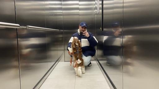 Аватар Tim Lavnik