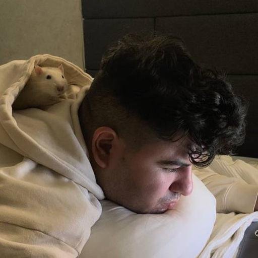 Аватар Арсений Скурт