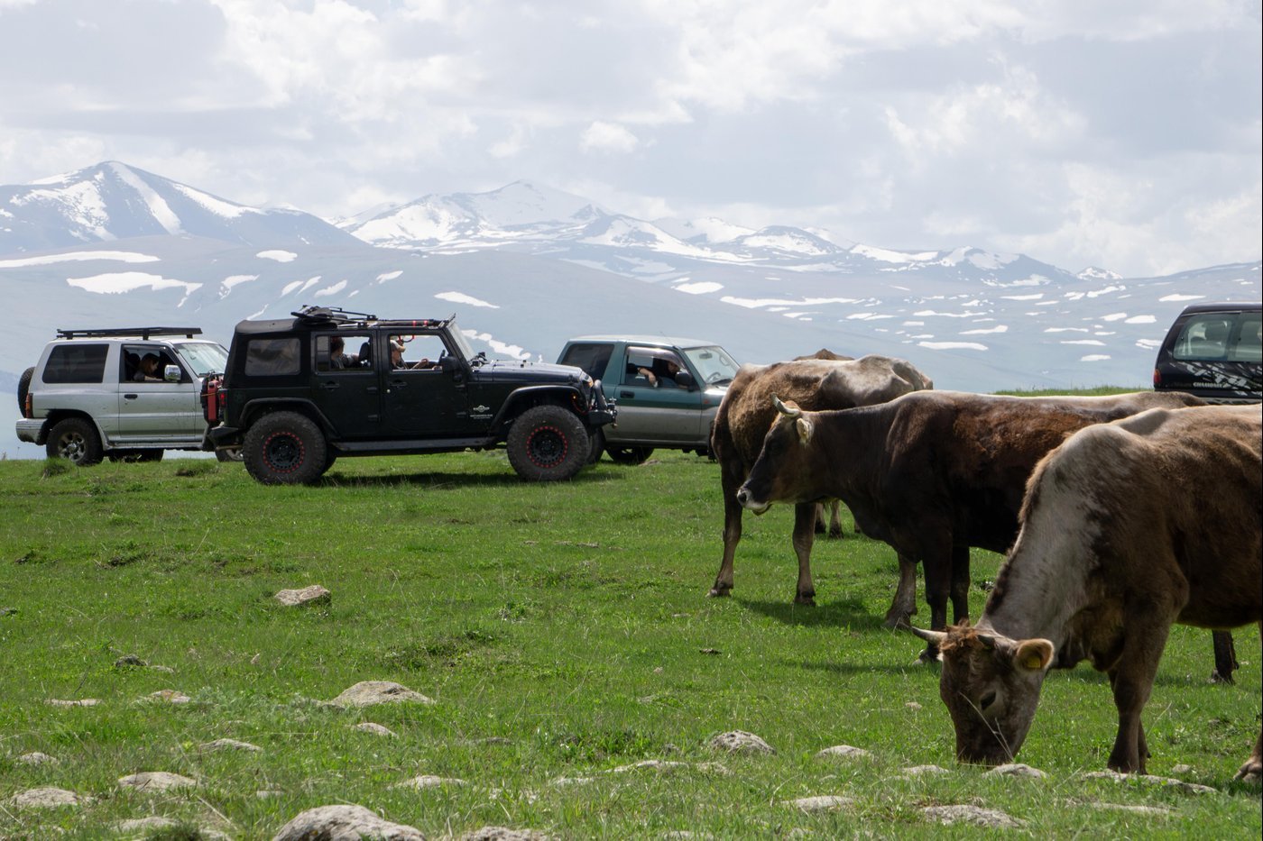 Последний выезд собрал 6 машин и 9кг шашлыков