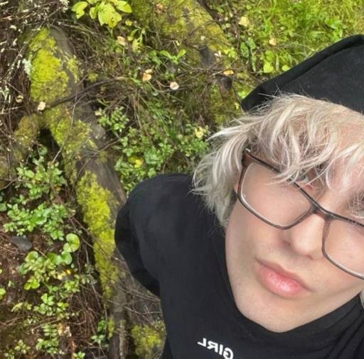 Аватар Artem Pugin