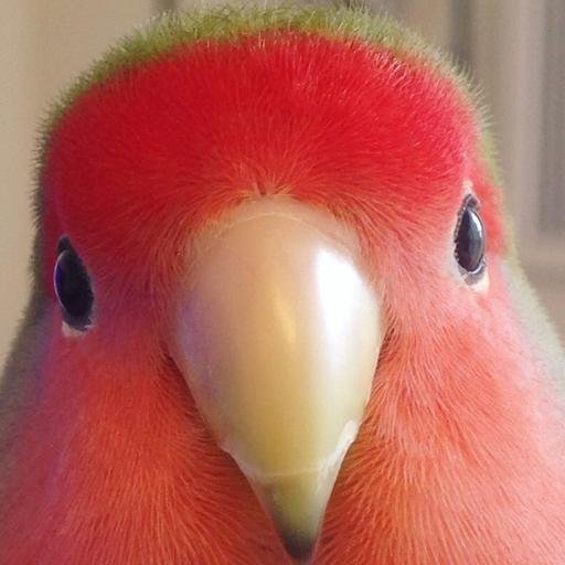 Аватар Дмитрий Усов