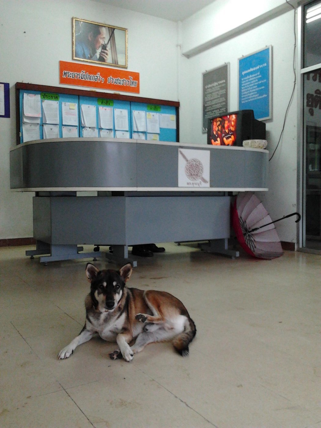 полицейский участок округа Курабури