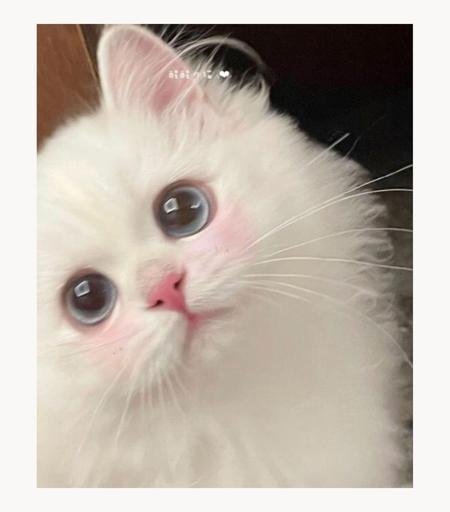 Аватар Donica Alexandru