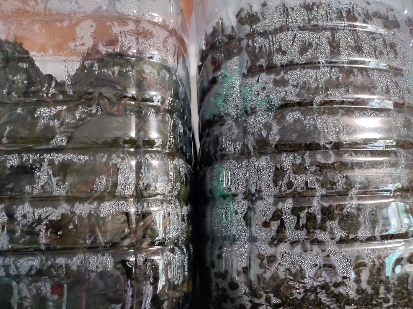 День второй