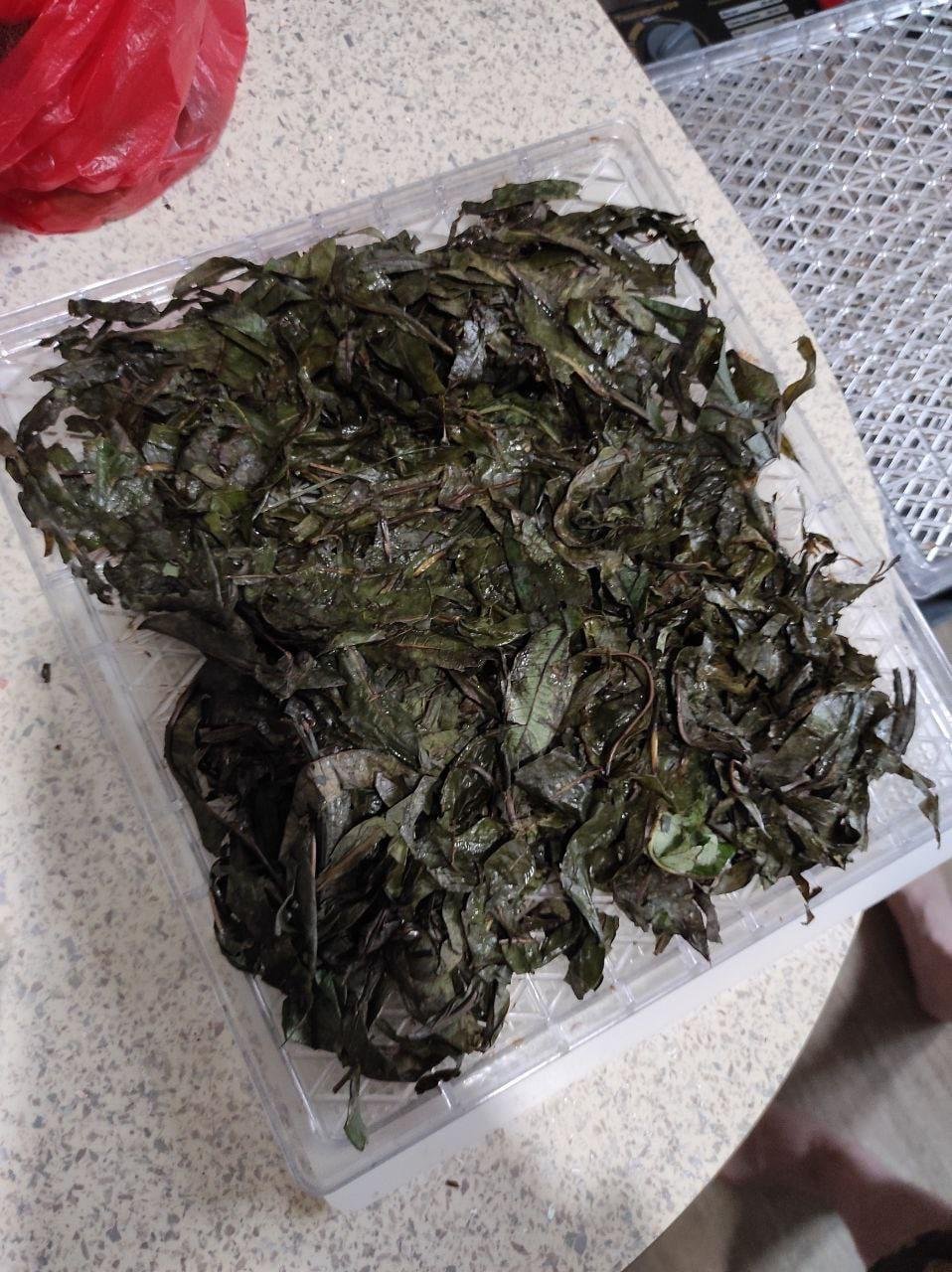 В таком виде отправился на сушку