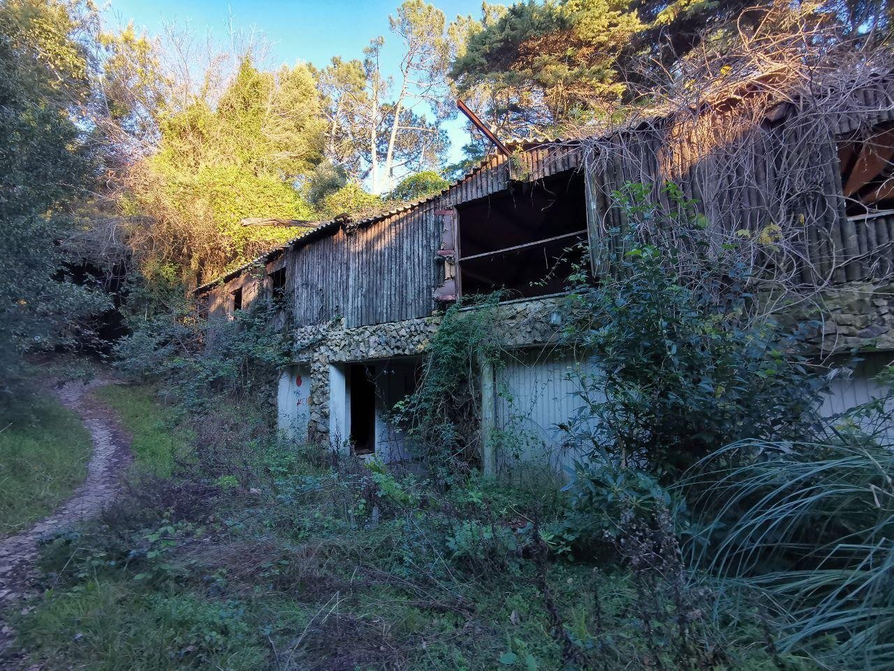 Но масштабов оно значительных