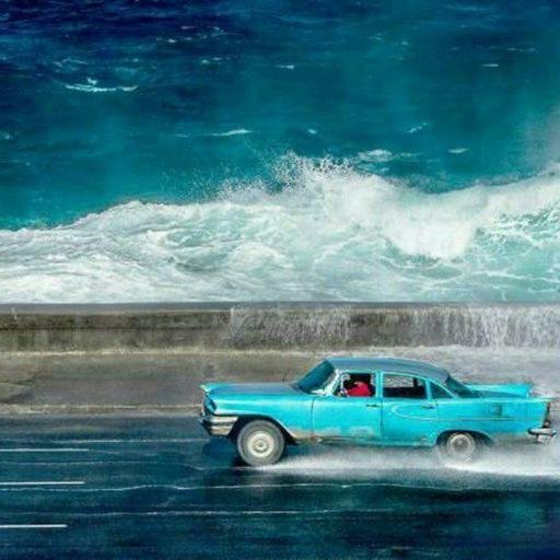 Аватар Olga Koroleva