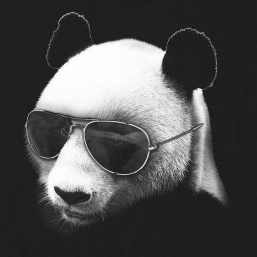 Аватар Danya Sklyarov