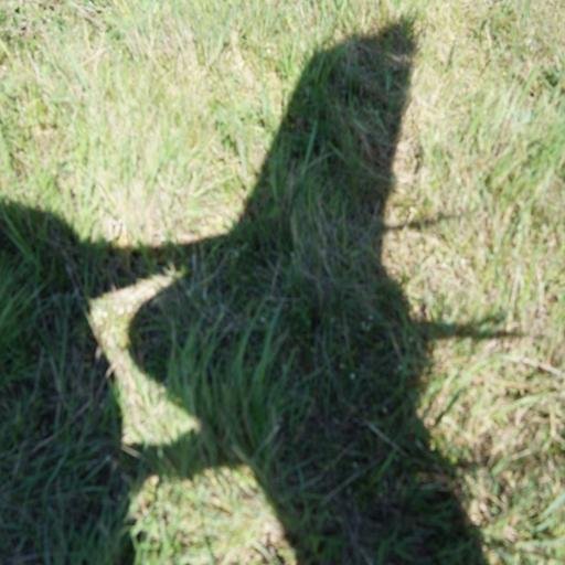 Аватар Evgeniy Baryshkov