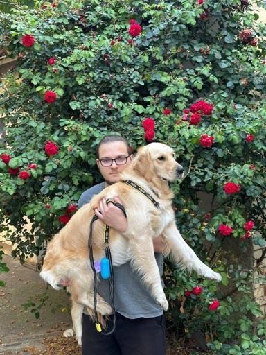 Аватар Николай Подлесных