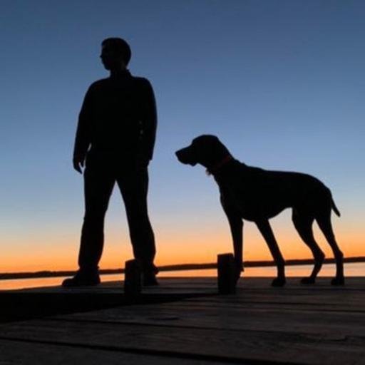 Аватар Roman Zhuravskiy