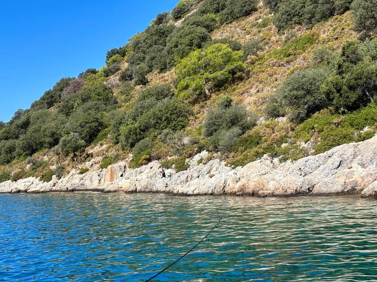 просто красивый вид берега