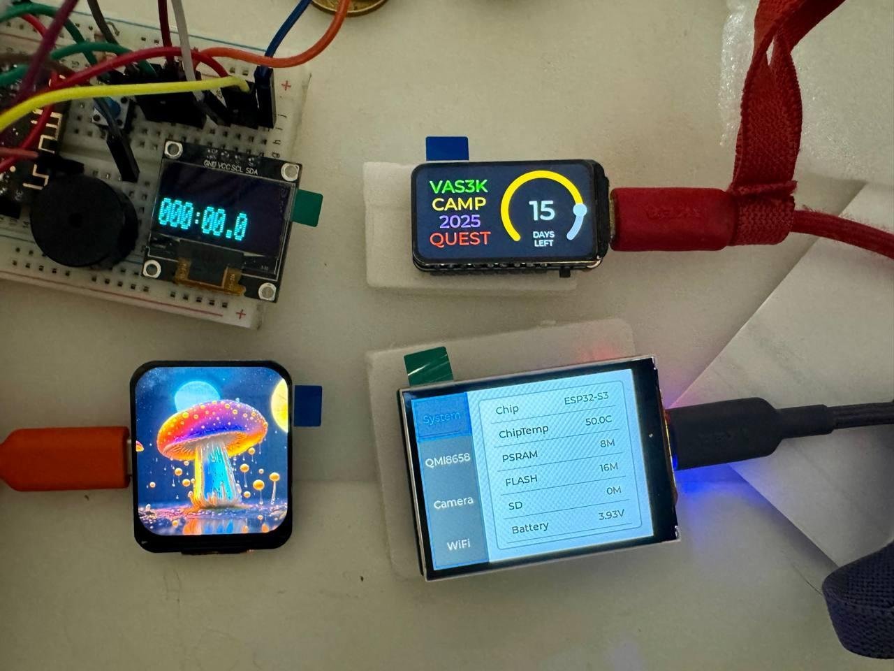 Весь зоопарк ЕСПшек, включая имевшуюся дома, выглядел в итоге так