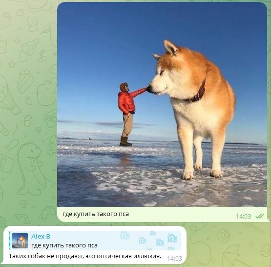 Как нейросеть выкупает оптическую иллюзию?? КААК???