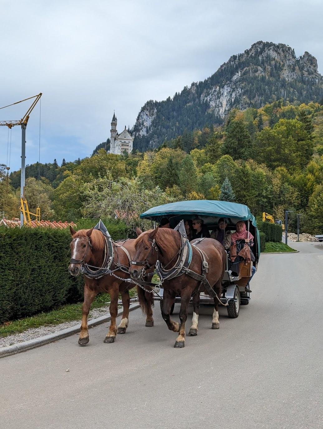 Кому жалко своих ножек, тем не жалко лошадинных. Но мы коней предпочитаем есть, а не ездить
