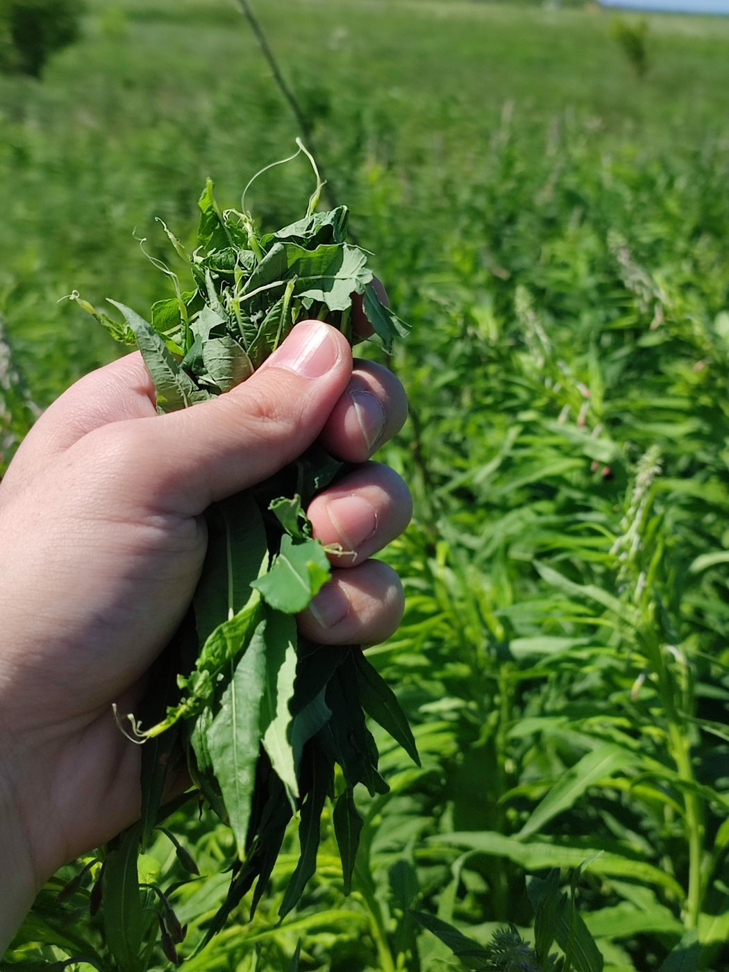 Складываем