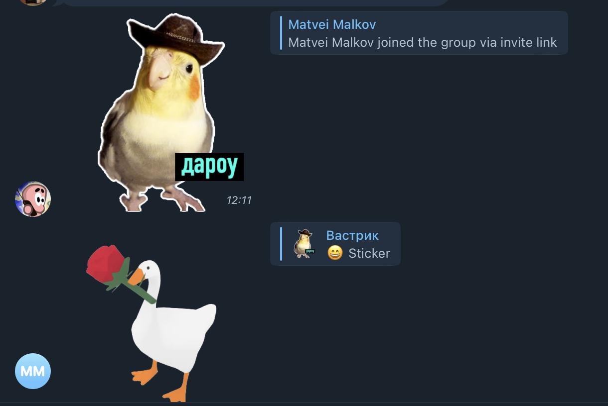 Попуг, это Матвей, Матвей, это попуг, знакомьтесь!