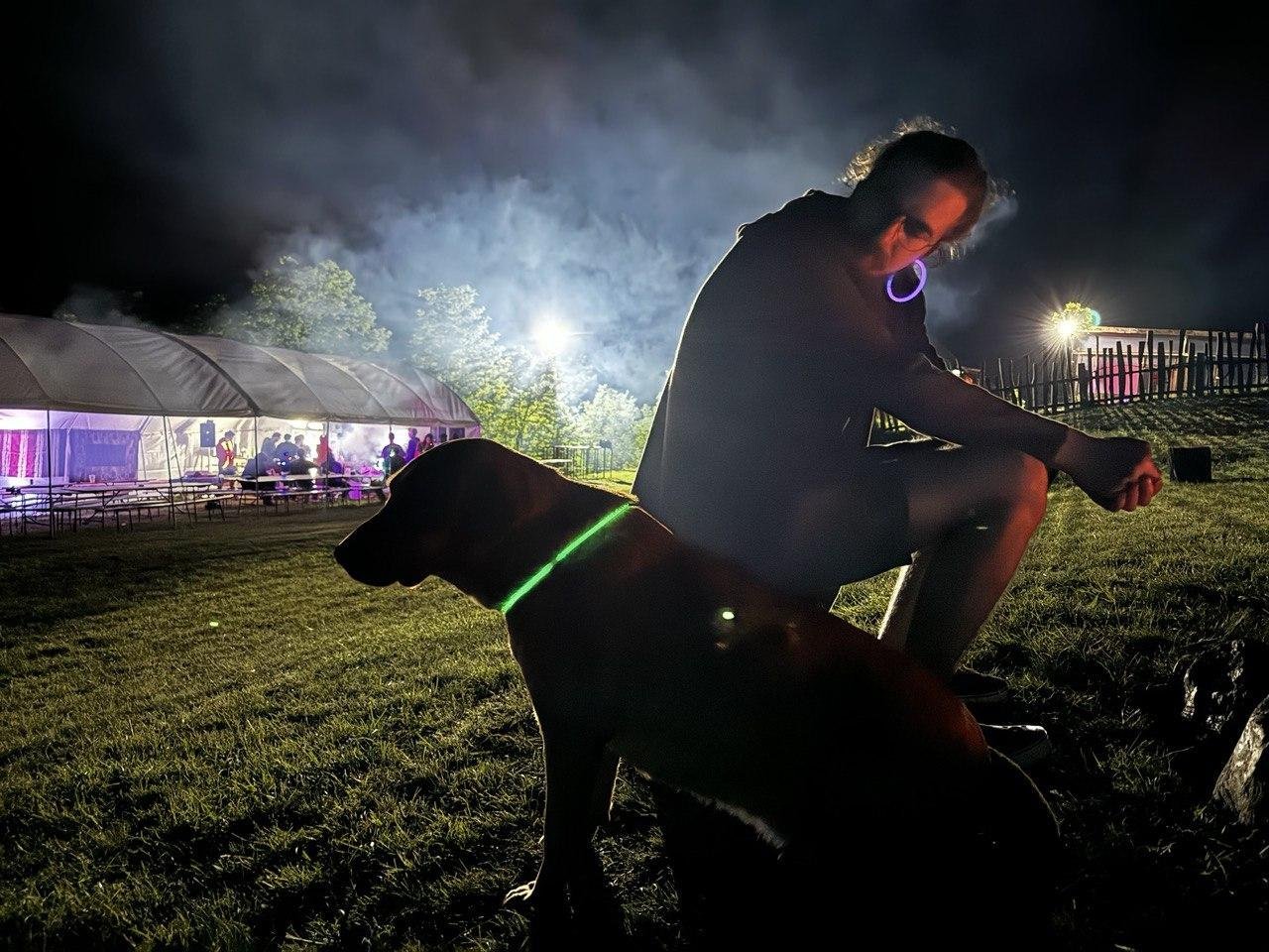 Вот такая херня, собачка. Пёселя, кстати, тоже украсили неоновым ошейником на этот вечер