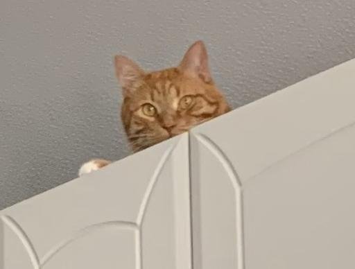 Аватар Ираклий Богиев