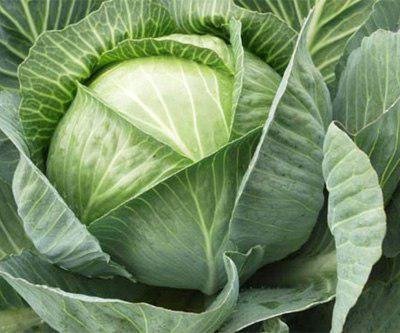 Аватар Александр Шаповалов