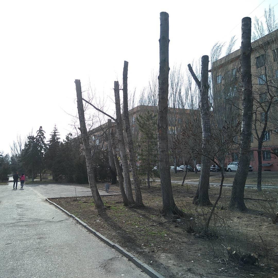 Озеленение набережной от администрации