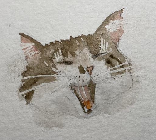 Аватар Зоя Чижкова