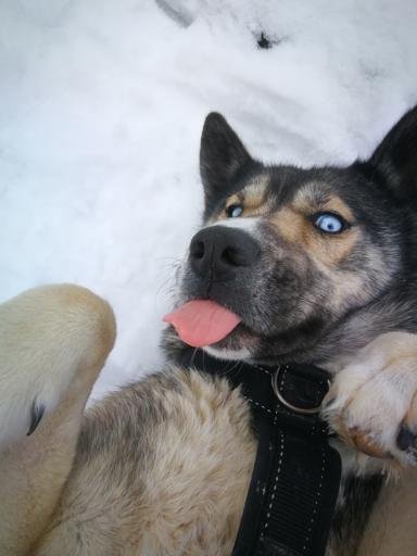 Аватар Александр Дёминов