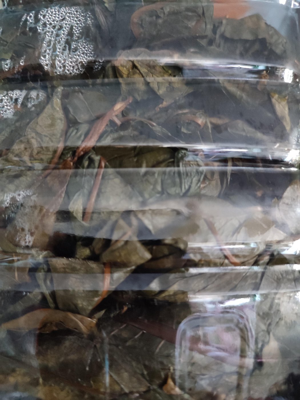 День третий