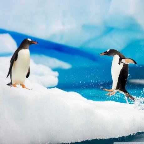 Аватар Anton Lantsov