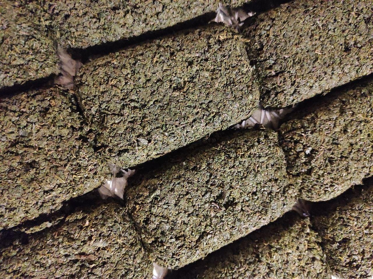 На заводах чай формуют в кирпичи перед финальной сушкой, я формовал мокрое ферментированное сырье и после сушки оно рассыпалось в крошево как рыхлое печенье