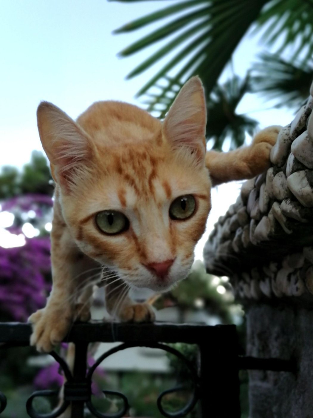 Итан Хант, выходи, мы тебя узнали