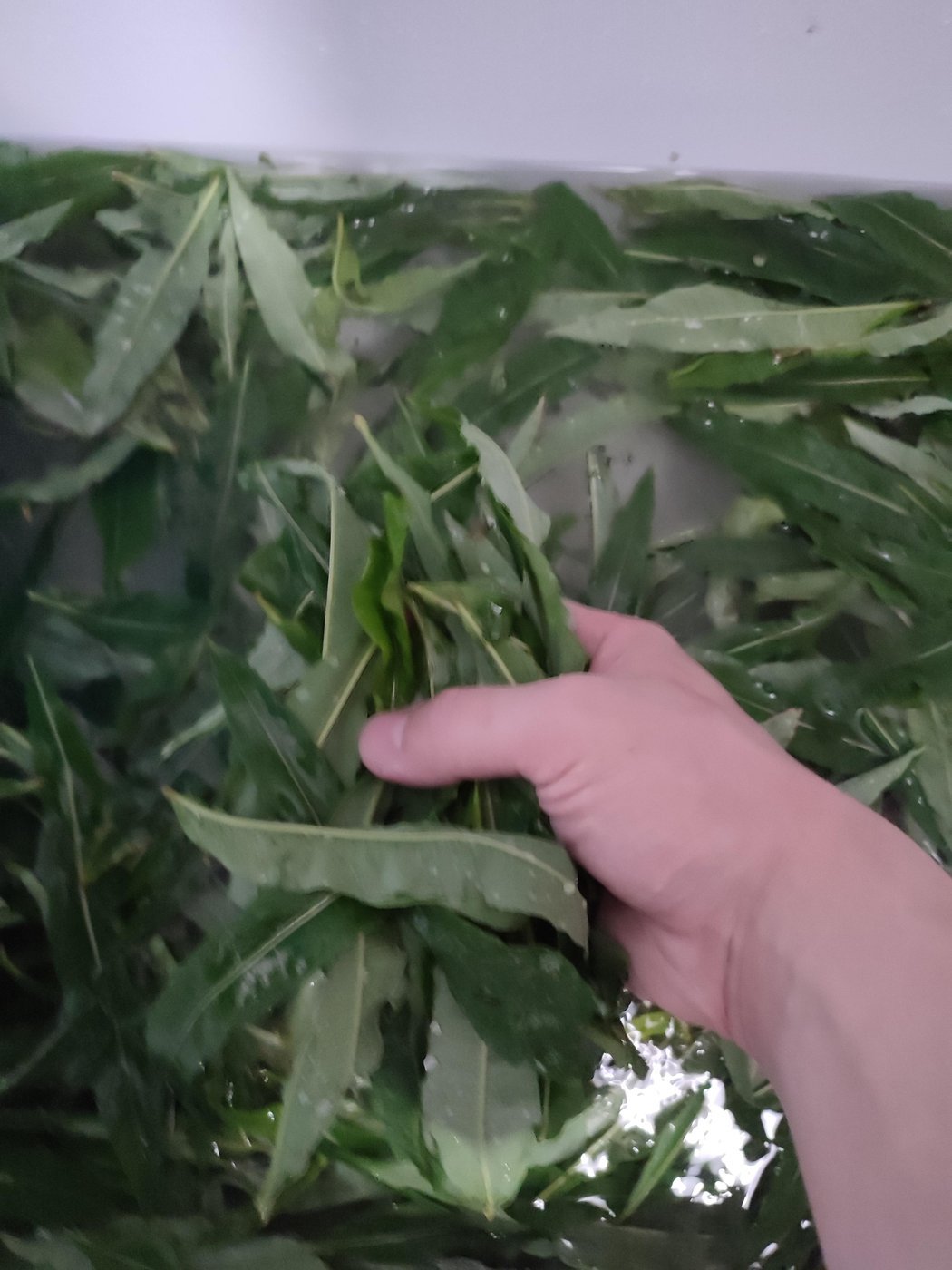 Берем жменю