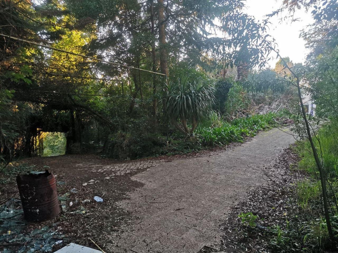 Направо пойдёшь – в замок попадёшь, налево пойдёшь – новое место найдёшь