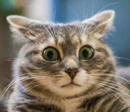 Аватар AlexLis