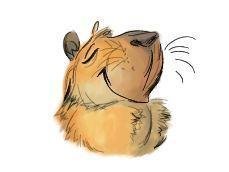 Аватар Dmitriy Shilin