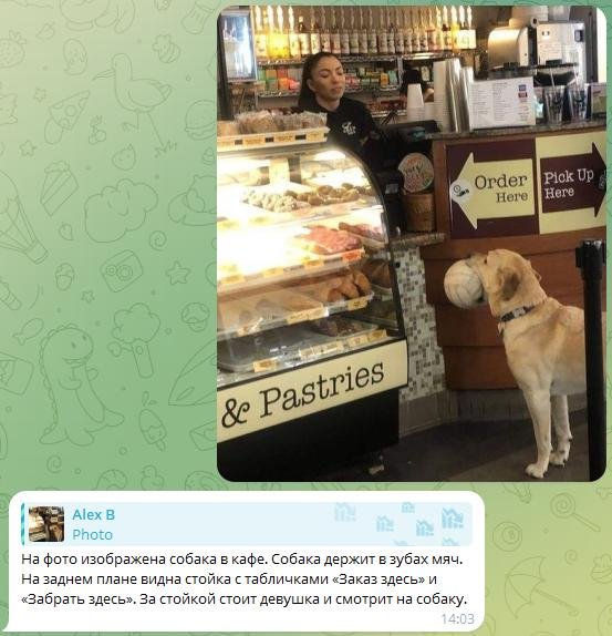 нейронка понимает сложные сцены