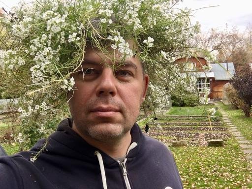 Аватар Dima Ollyak