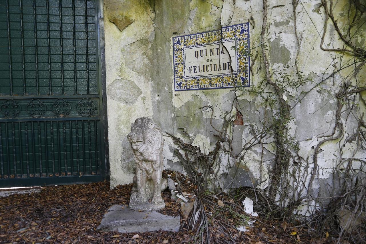 А когда-то на месте дырки значилось название поместья (2019 год)