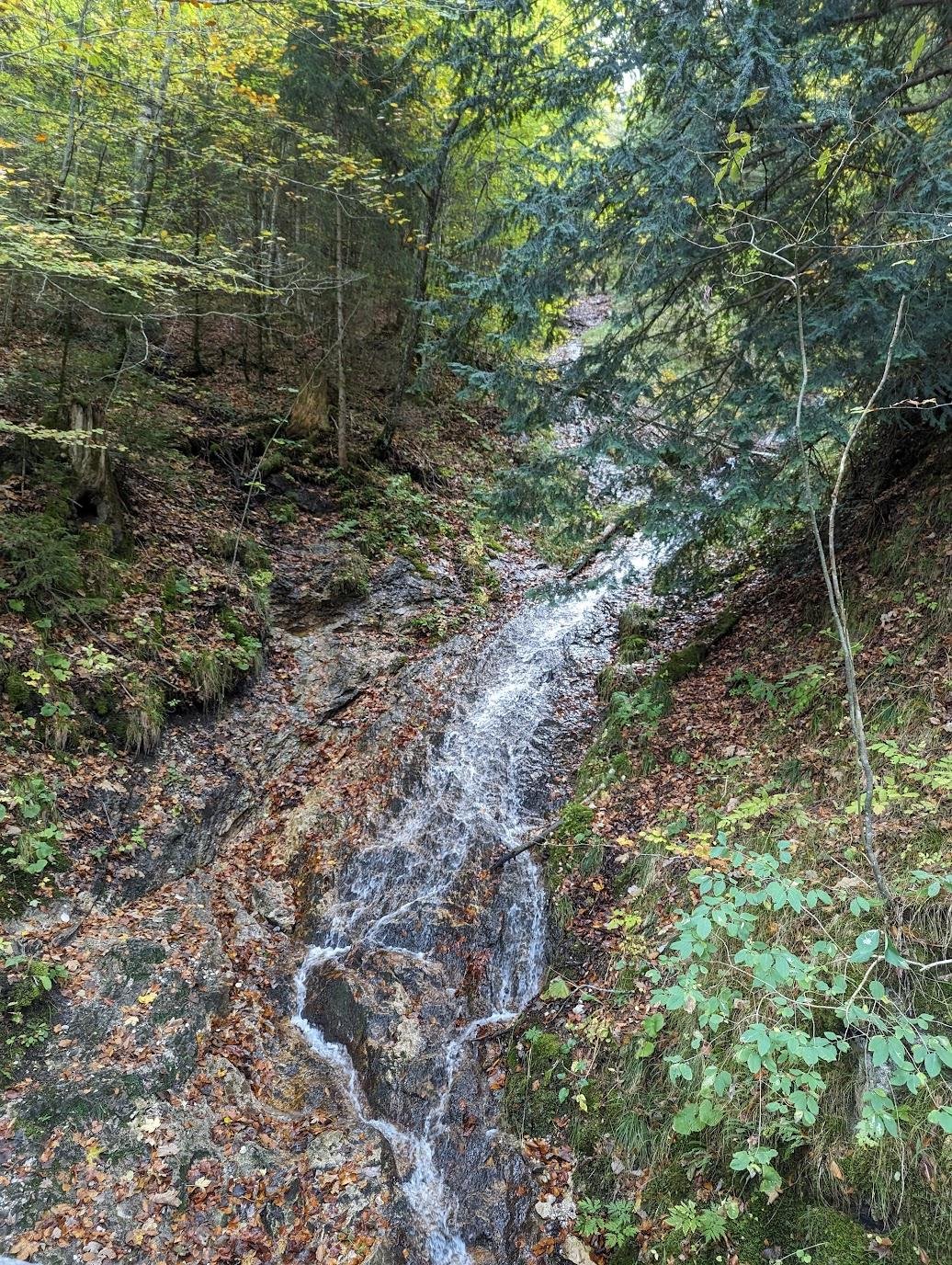 Очень много ручьев, в воздухе ощущается повышанная сырость