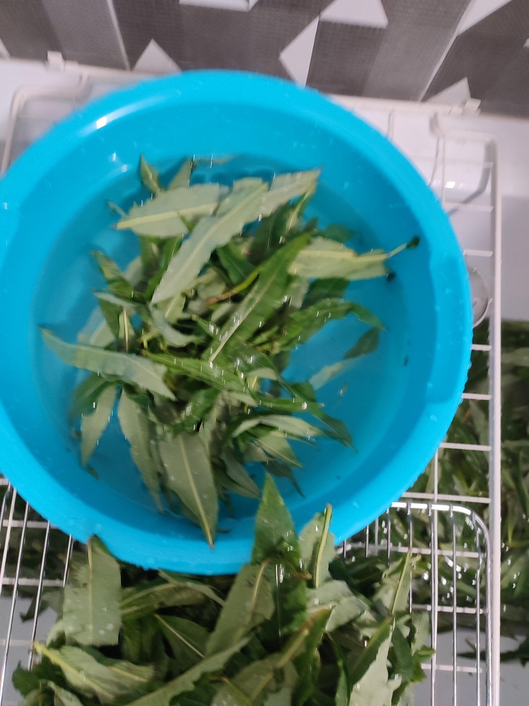 Промываем в тазу