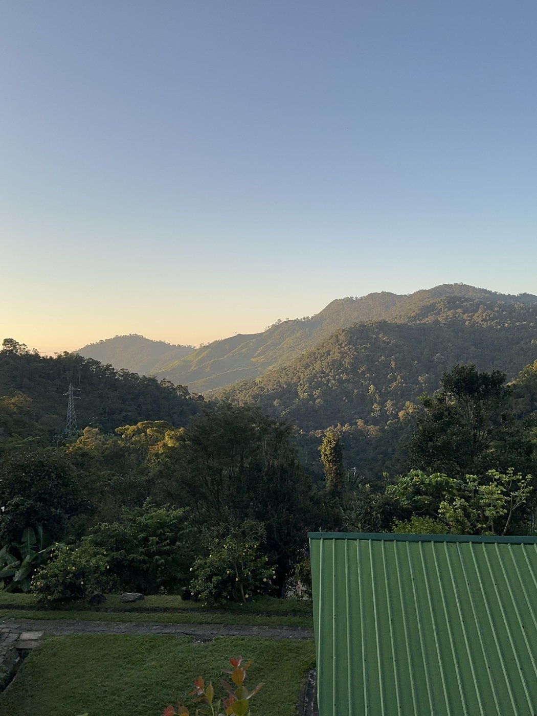 Вид из отеля утром