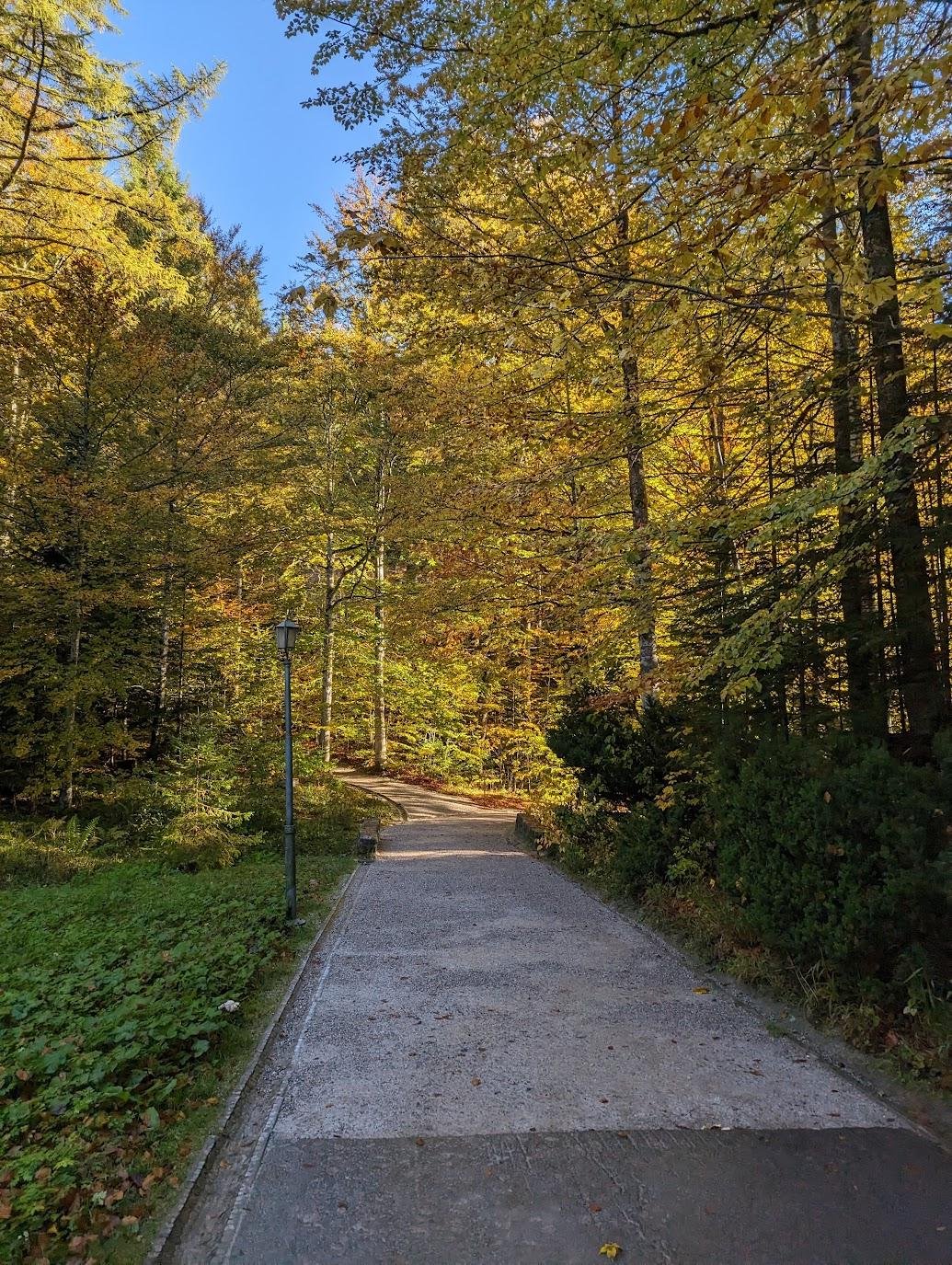 От этого строения нужно было прогуляться сквозь очень приятный лес