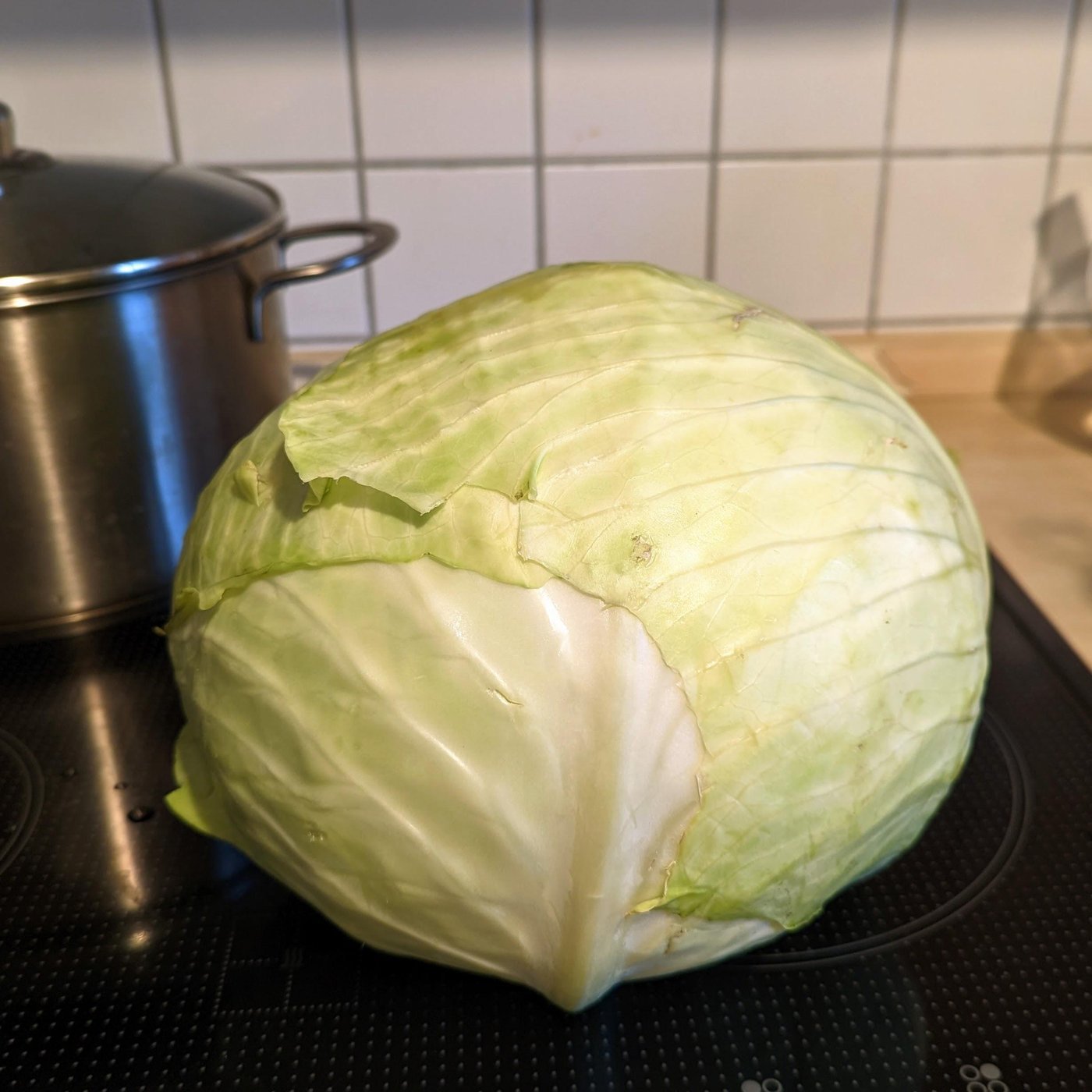 Огромная! Надеюсь, в тазик поместится