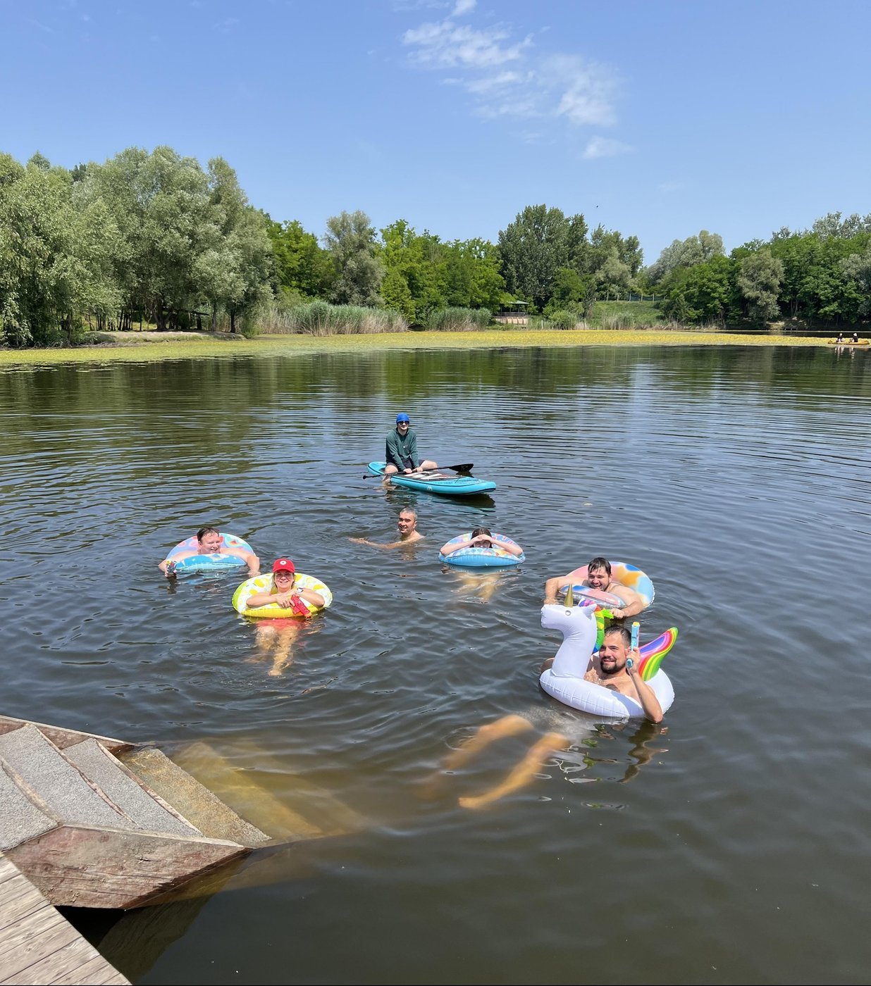 Вастрик Флот Mini