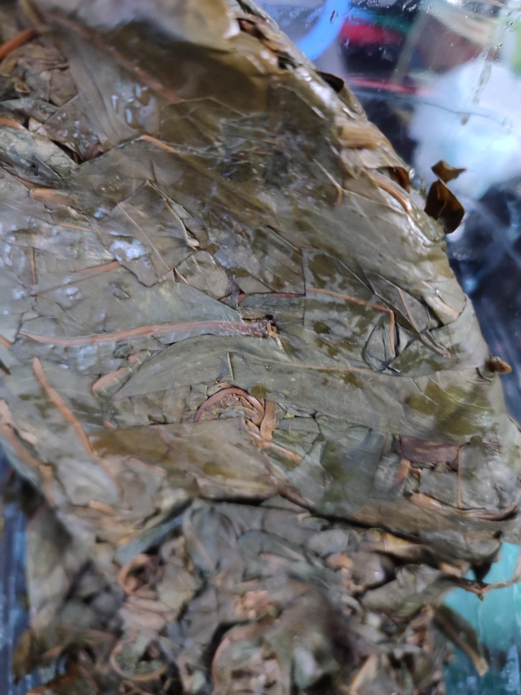 Листики потемнели и почти утратили цветочный запах, первый сосуд для ферментации я вскрыл