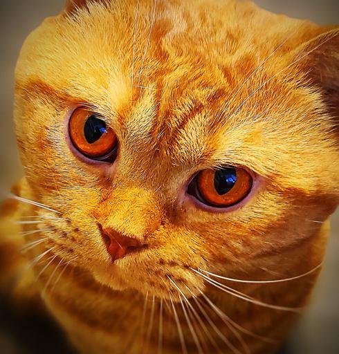 Аватар Николай Егоров