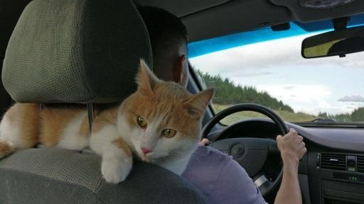 Аватар Aiaz Ashrapov