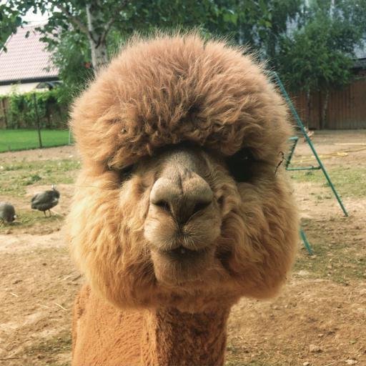 Аватар Артём Станкевич