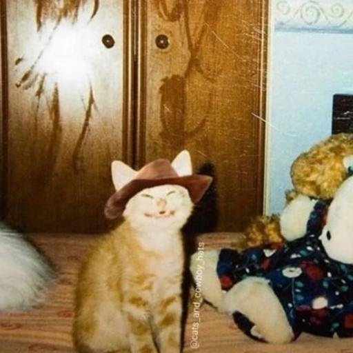 Аватар Maria Vechorko