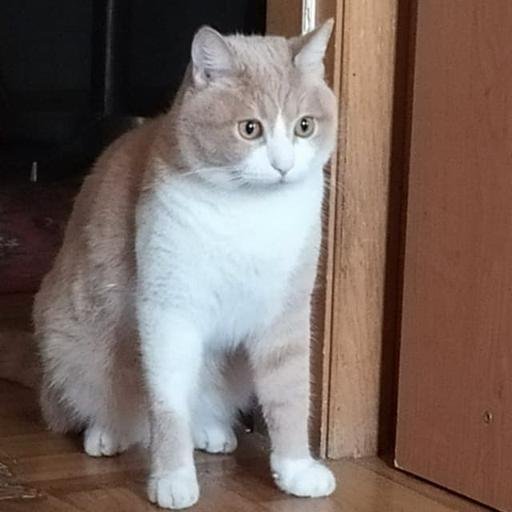 Аватар Artem Semidolin